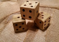 wood-dice