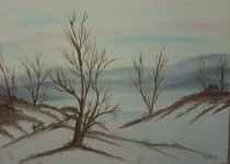 20160116_134956