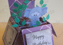 elephant-box