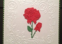 IMG_0604