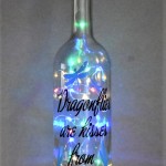 Dragonflies-coloured-lights
