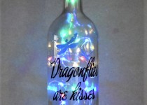 Dragonflies-coloured-lights