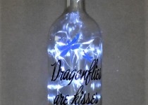 Dragonflies-white-lights