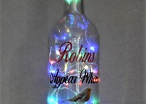 Robin-coloured-lights